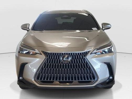 2024 Lexus NX 250 Base