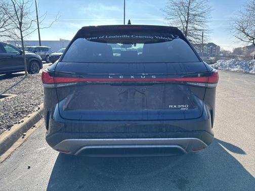 2025 Lexus RX 350 Luxury