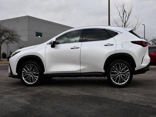 2023 Lexus NX 350h Luxury
