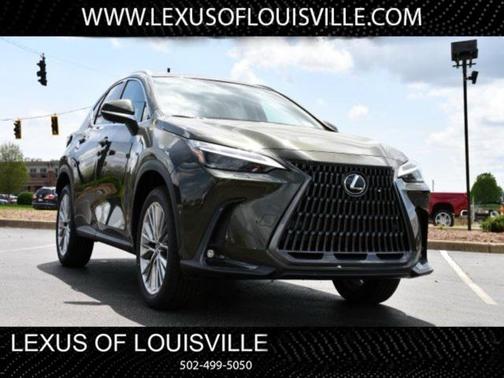 2025 Lexus NX 350 Luxury