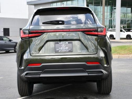 2025 Lexus NX 350 Luxury