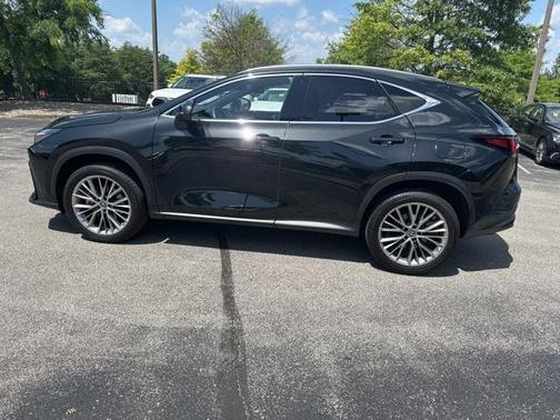 2022 Lexus NX 350h Luxury