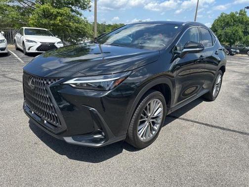 2022 Lexus NX 350h Luxury