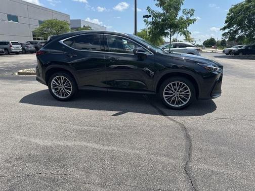 2022 Lexus NX 350h Luxury