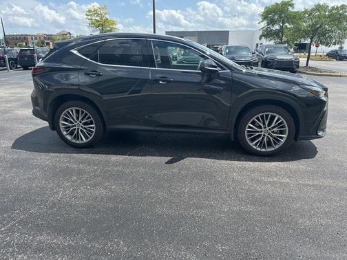 2024 Lexus NX 350 Luxury