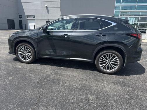 2024 Lexus NX 350 Luxury