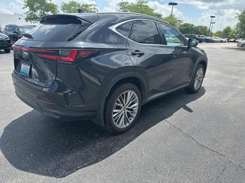 2024 Lexus NX 350 Luxury
