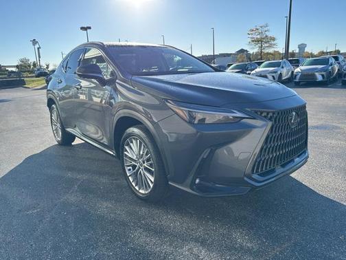 2025 Lexus NX 350 Premium