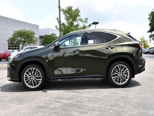 2025 Lexus NX 350 Luxury