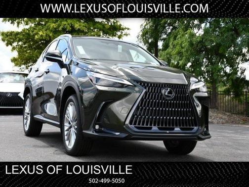 2025 Lexus NX 350 Luxury