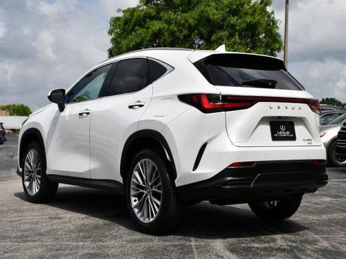 2025 Lexus NX 350 Luxury