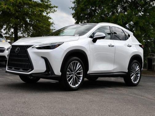 2025 Lexus NX 350 Luxury