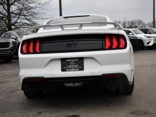 2019 Ford Mustang GT Premium