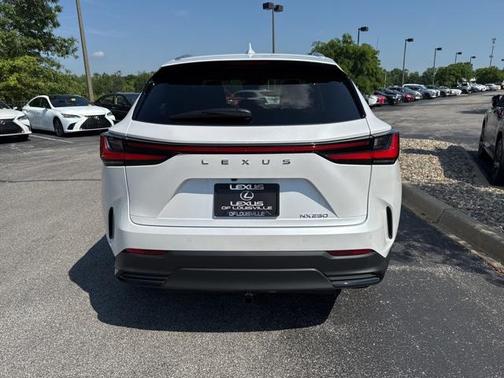 2024 Lexus NX 250 Premium