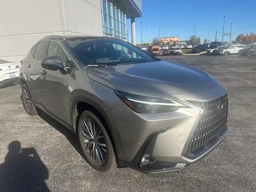 2022 Lexus NX 350h Luxury