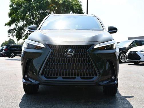 2025 Lexus NX 350 350 Base