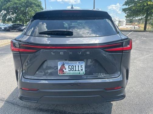 Cloudburst Gray 2022 Lexus NX 250 Premium