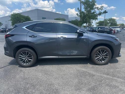 Cloudburst Gray 2022 Lexus NX 250 Premium