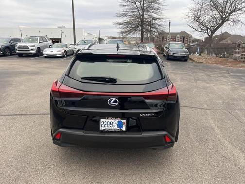 2021 Lexus UX 250h Base
