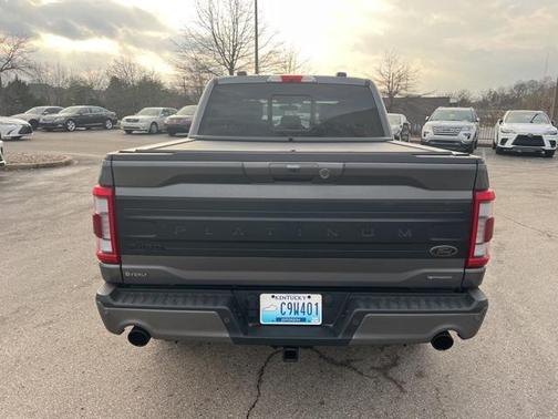 2022 Ford F-150 Platinum