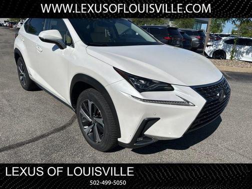 Eminent White Pearl 2018 Lexus NX 300h Base