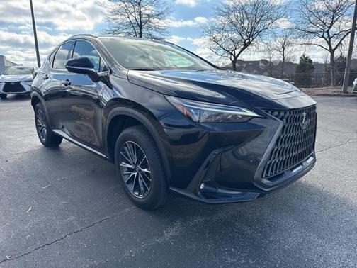 2025 Lexus NX 350 Premium