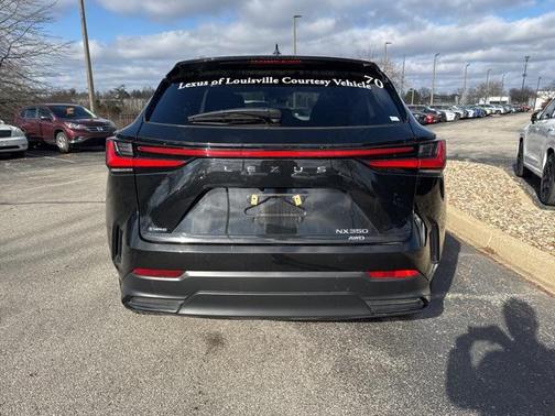 2025 Lexus NX 350 Premium