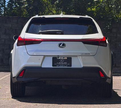 Eminent White Pearl 2020 Lexus UX 250h Base