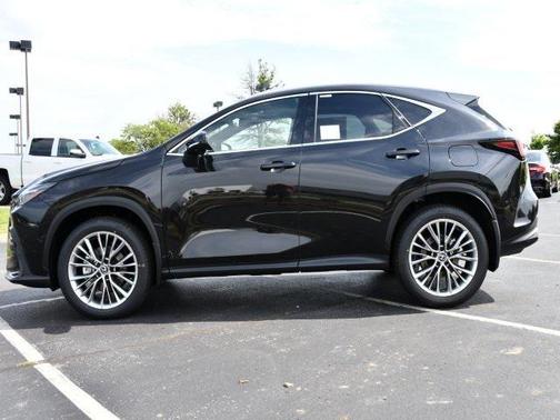 2025 Lexus NX 350h Luxury