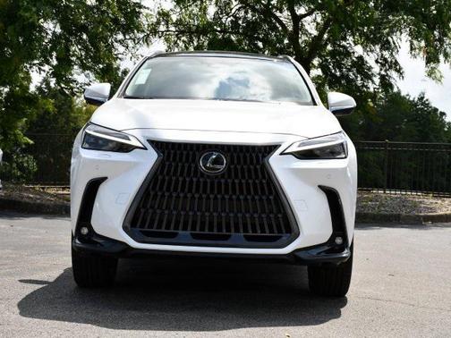 2025 Lexus NX 350 Luxury
