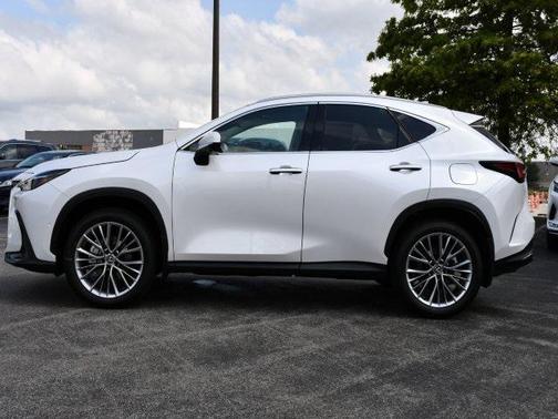 2025 Lexus NX 350 Luxury