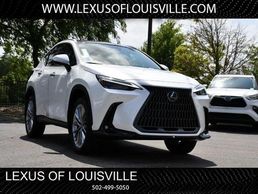 2025 Lexus NX 350 Luxury