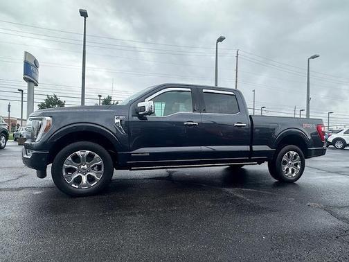 2021 Ford F-150 Platinum