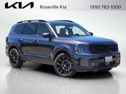 Panthera Metal 2025 Kia Telluride SX X-LINE