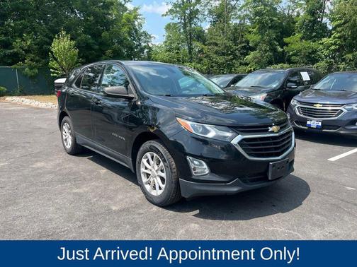 Mosaic Black Metallic 2019 Chevrolet Equinox LS