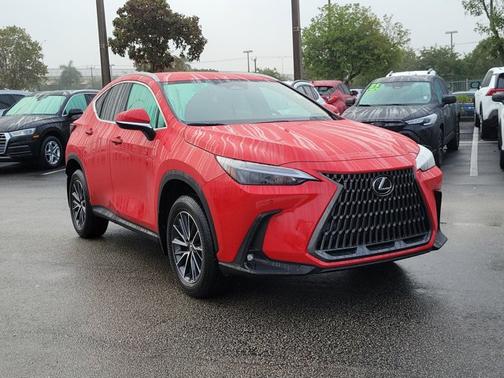 2025 Lexus NX 250 NX 250