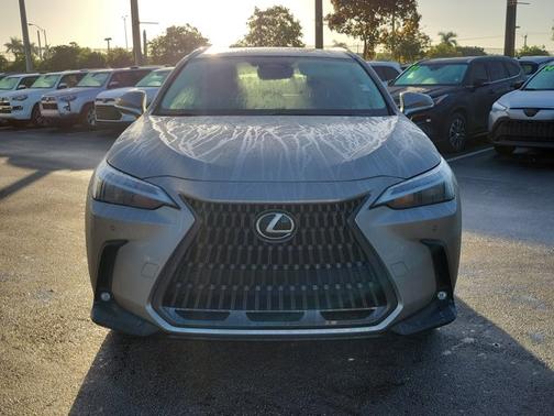 2023 Lexus NX 250 Premium