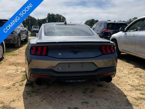 Carbonized Gray Metallic 2024 Ford Mustang EcoBoost