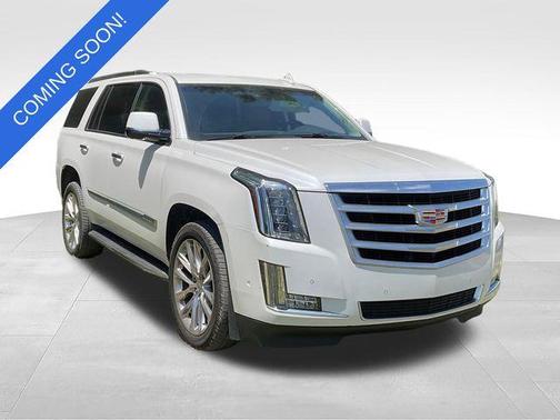 Crystal White Tricoat 2019 Cadillac Escalade Luxury