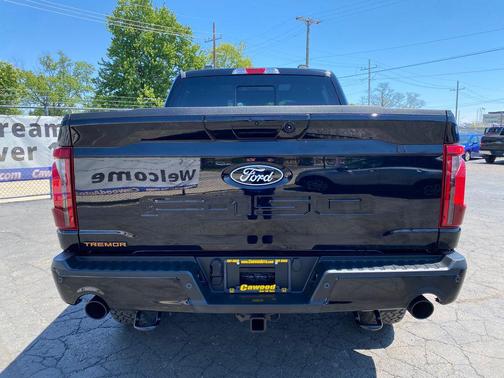 Agate Black Metallic 2025 Ford F-150 Tremor