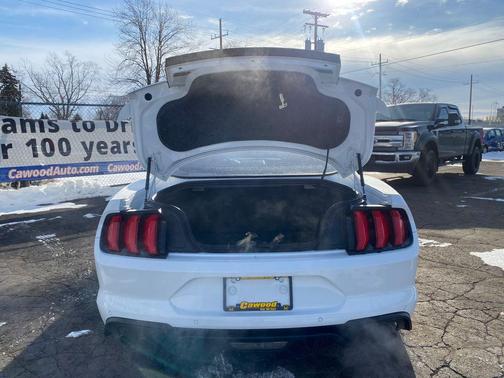 2019 Ford Mustang GT