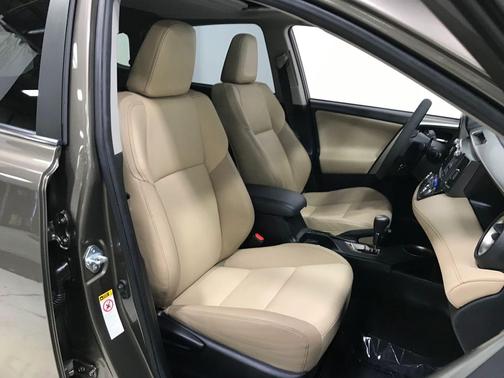 Pyrite Mica 2015 Toyota RAV4 Limited