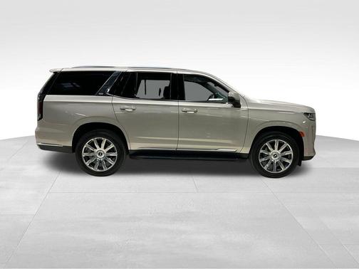 2021 Cadillac Escalade Premium Luxury Platinum