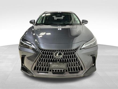 2023 Lexus NX 350 Premium