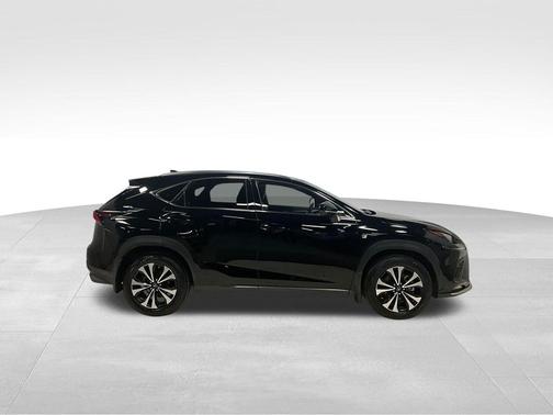 2020 Lexus NX 300 F Sport