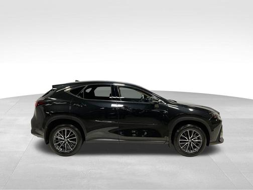 2025 Lexus NX 250 Premium