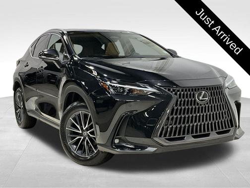 2025 Lexus NX 250 Premium