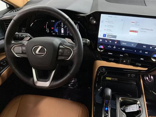 2025 Lexus NX 250 Premium