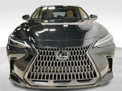 2025 Lexus NX 250 Premium