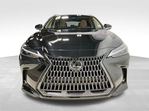 2025 Lexus NX 250 Premium